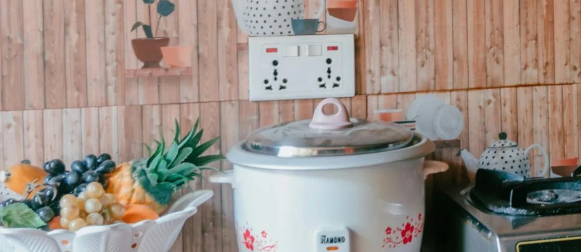 3 Cup Rice Cooker Power Requirements